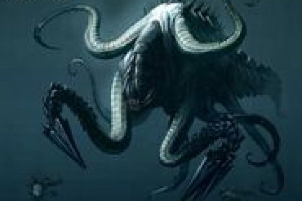 Kraken актуальные зеркала krakentor site